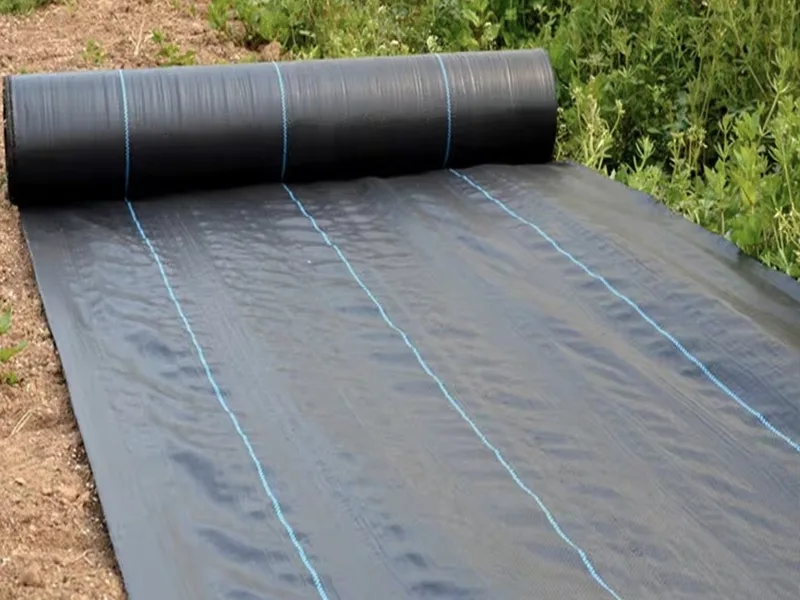 Tongfu Eco-Materials เปิดตัวผ้ากั้นวัชพืชที่ย่อยสลายได้ทางชีวภาพประสิทธิภาพสูง