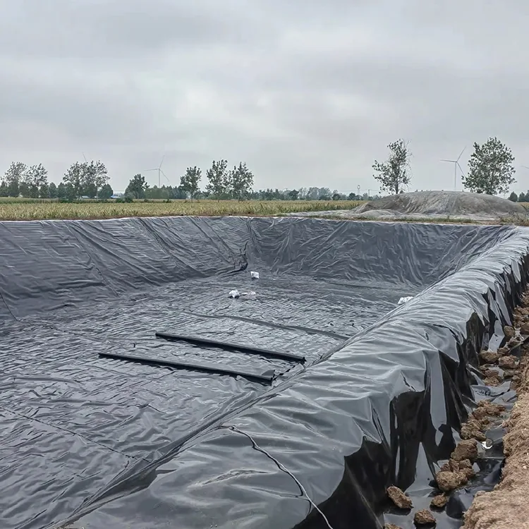 Geomembrane เครื่องย่อยก๊าซชีวภาพ
