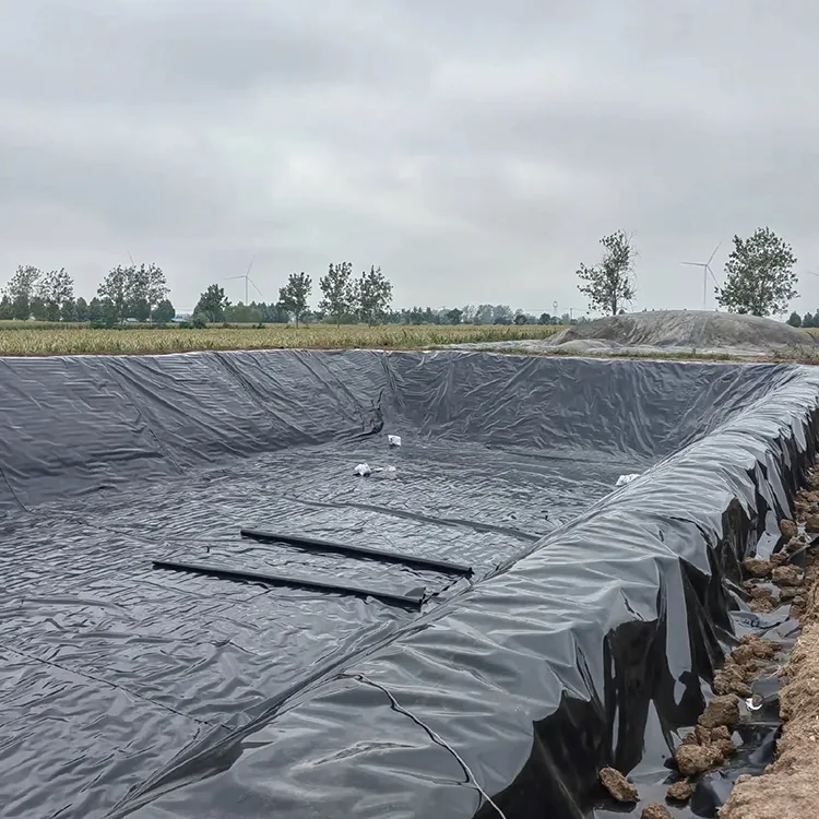 ซับ Geomembrane บ่อปลา
