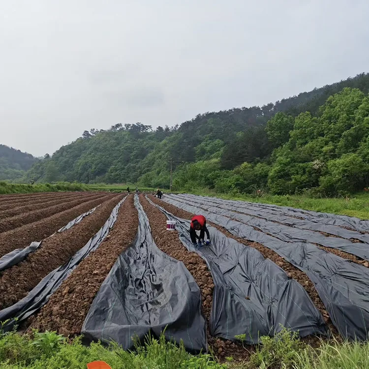 PE Woven Weed Barrier Fabric