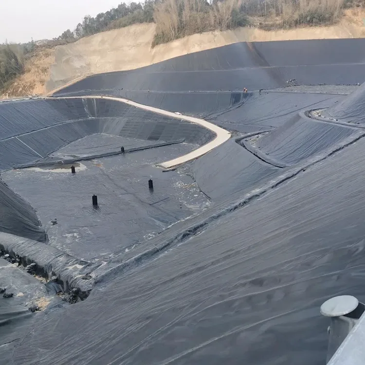 ซับ Geomembrane ในบ่อกากแร่